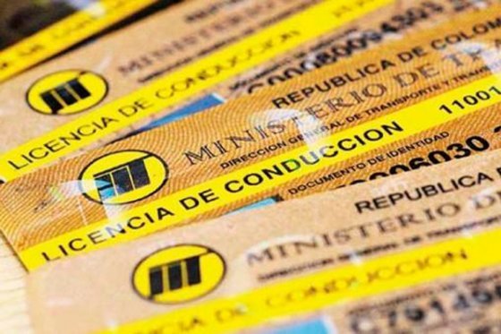 419 licencias de conducción suspendidas por reincidencia en infracciones de tránsito