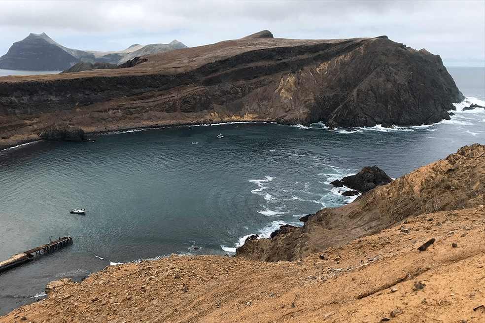 Proyecto minero amenaza delfines y pingüinos en isla de Choros en Chile