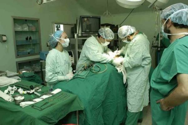 Donantes de órganos deben tener prioridad en listados para trasplantes: Procuraduría