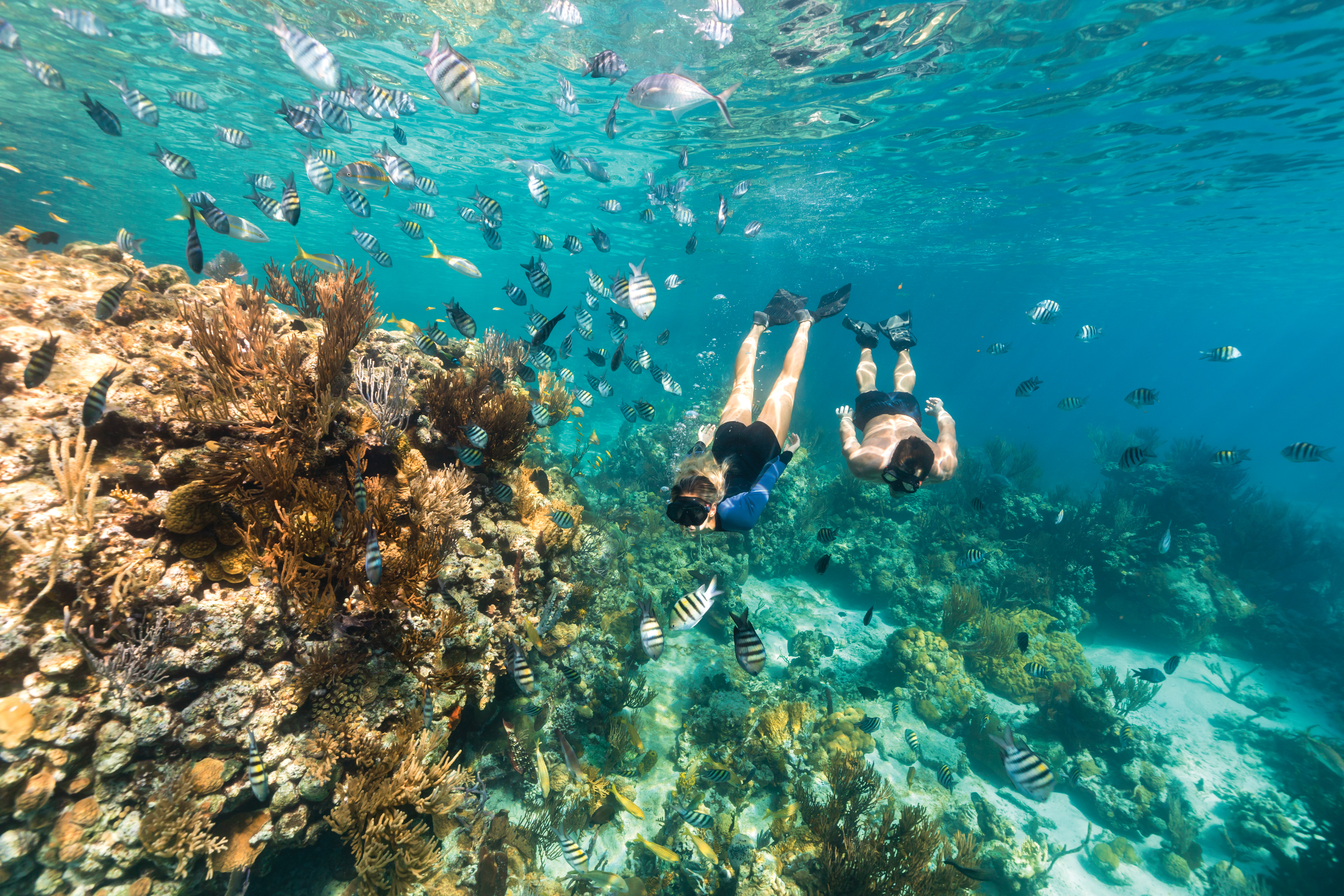 Las Islas de Las Bahamas ofrecen pesca, buceo, inolvidables paseos en bote y miles de kilómetros de aguas cristalinas y playas consideradas entre las más espectaculares del planeta.