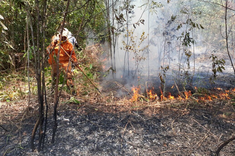 Incendio que afectó 3.5000 hectáreas en Sierra de la Macarena por fin fue controlado