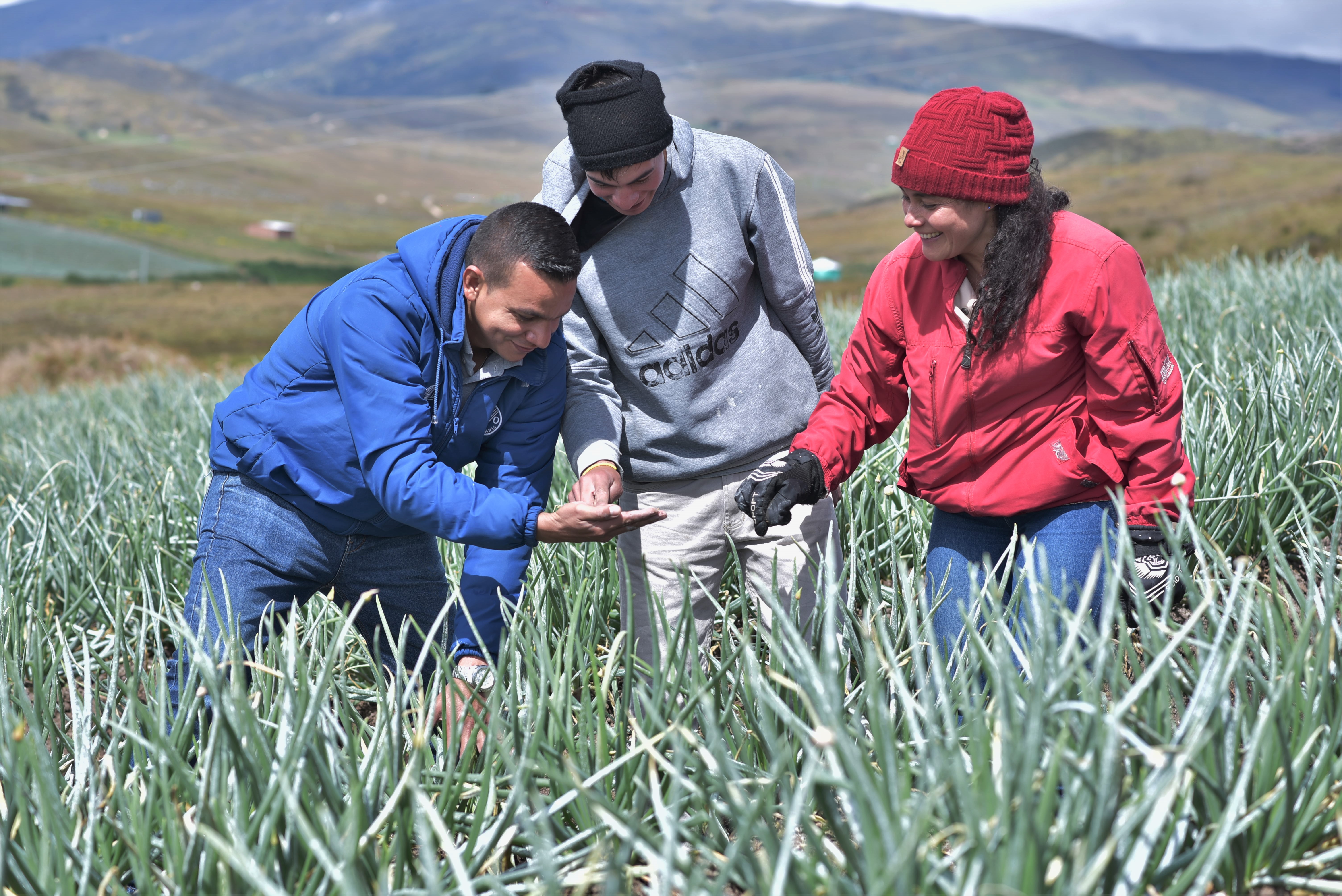 ¡Debemos impulsar la acción climática en la agricultura!: FAO