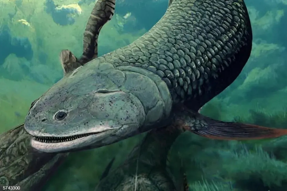 Este extraño pez de hace 380 millones de años respiraba aire