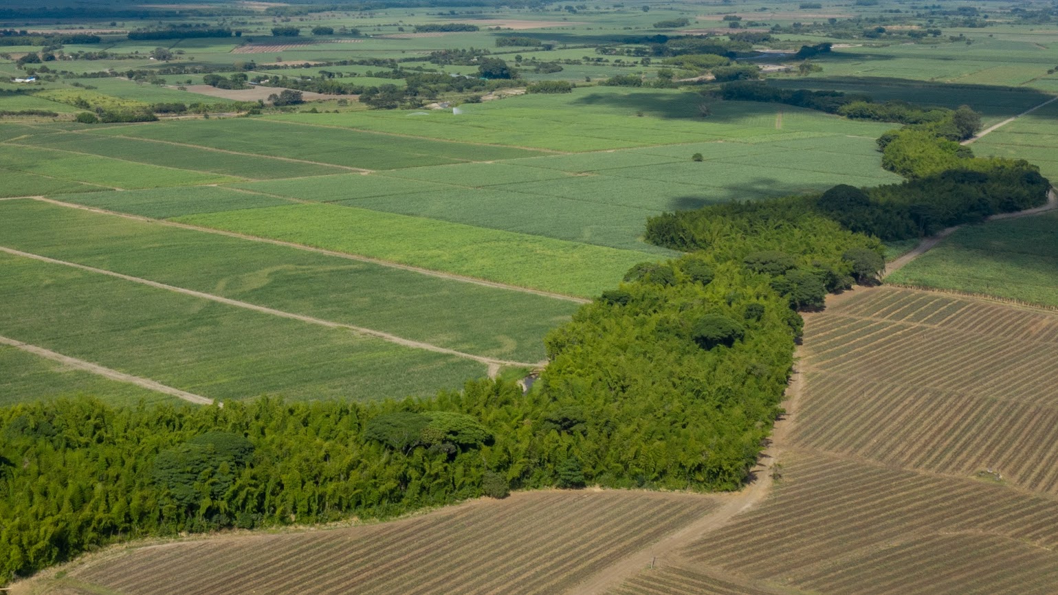 Gobierno anuncia compra de 937 hectáreas de tierra para comunidades del Cauca
