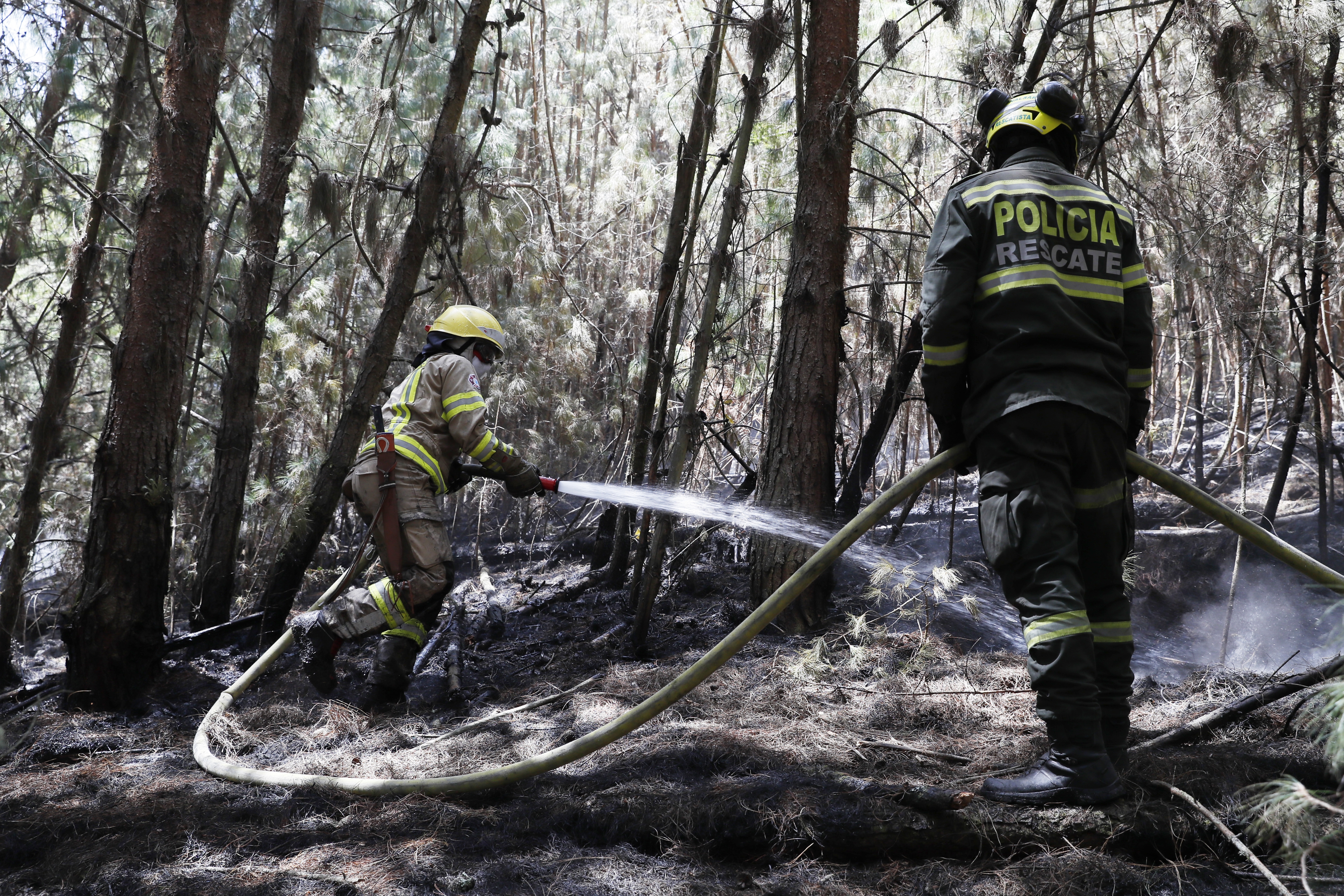 -FOTODELDÍA- AME2576. NEMOCÓN (COLOMBIA), 26/01/2024.- Bomberos combaten un incendio forestal hoy, en Nemocón, municipio cercano a Bogotá (Colombia). Las autoridades colombianas han contabilizado una treintena de incendios en diferentes partes del país esta semana, algunos de los cuales ya fueron sofocados, al tiempo que se informa de nuevos focos de fuego. La lucha contra el fuego sigue también en Nemocón, municipio del departamento de Cundinamarca, situado a 70 kilómetros al norte de Bogotá, donde al menos 180 hectáreas han sido arrasadas por el fuego en varias zonas rurales donde incluso se han reactivado focos que ya habían sido controlados. EFE/ Carlos Ortega