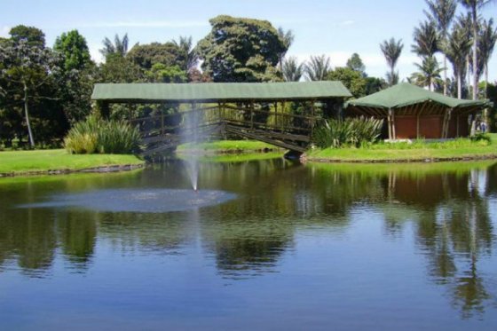 La transformación del Jardín Botánico de Bogotá