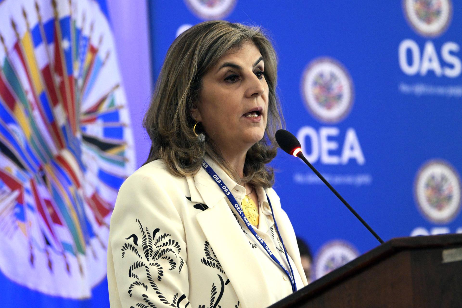 Laura Gil: “Ayudaré a corregir lo que le critiqué a la OEA”