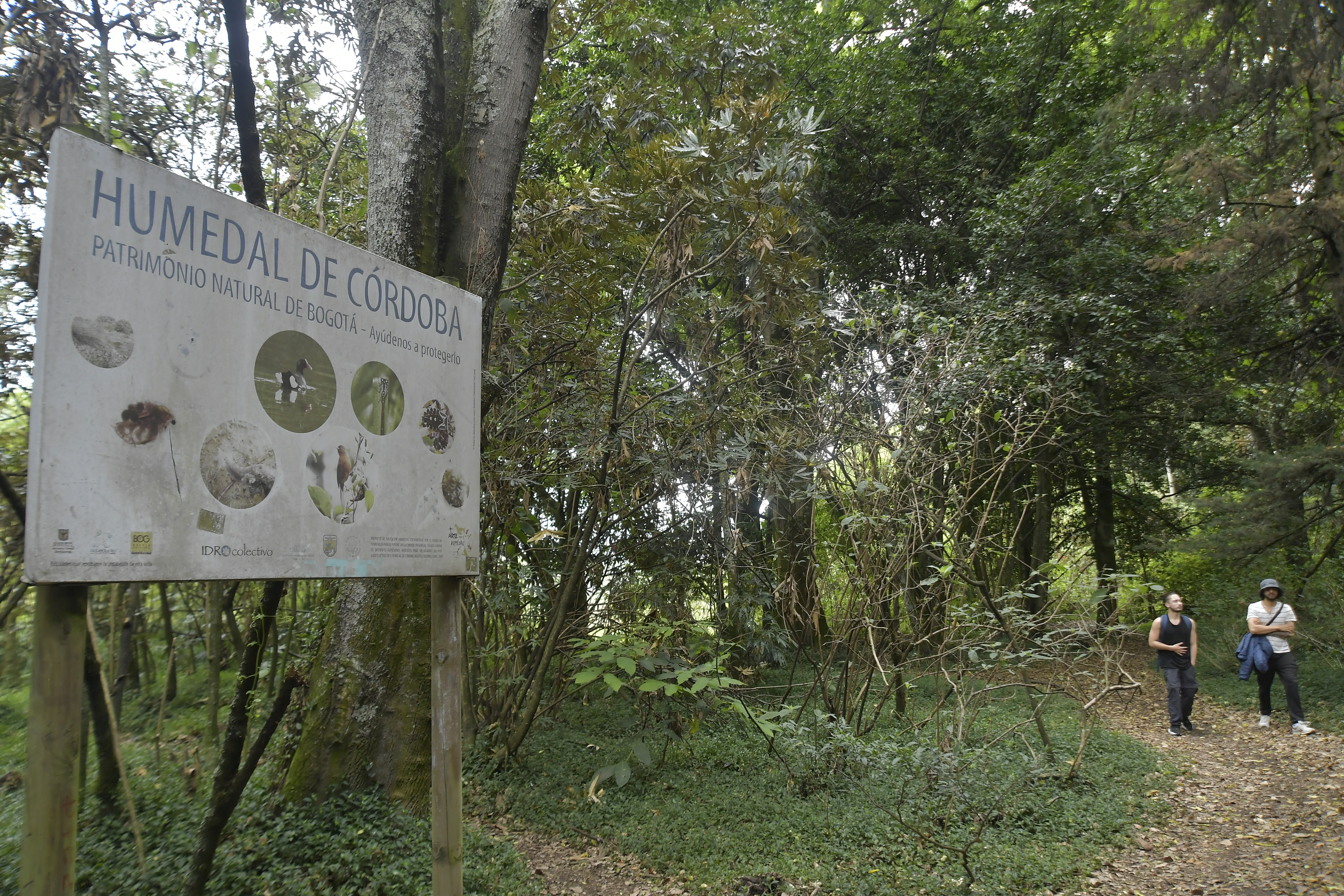 Senderismo en la ciudad: siete caminatas ecológicas imperdibles en agosto