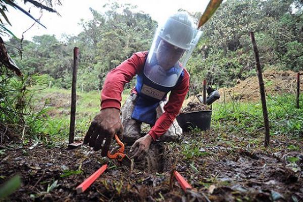 ¿Quién paga el desminado en Colombia?