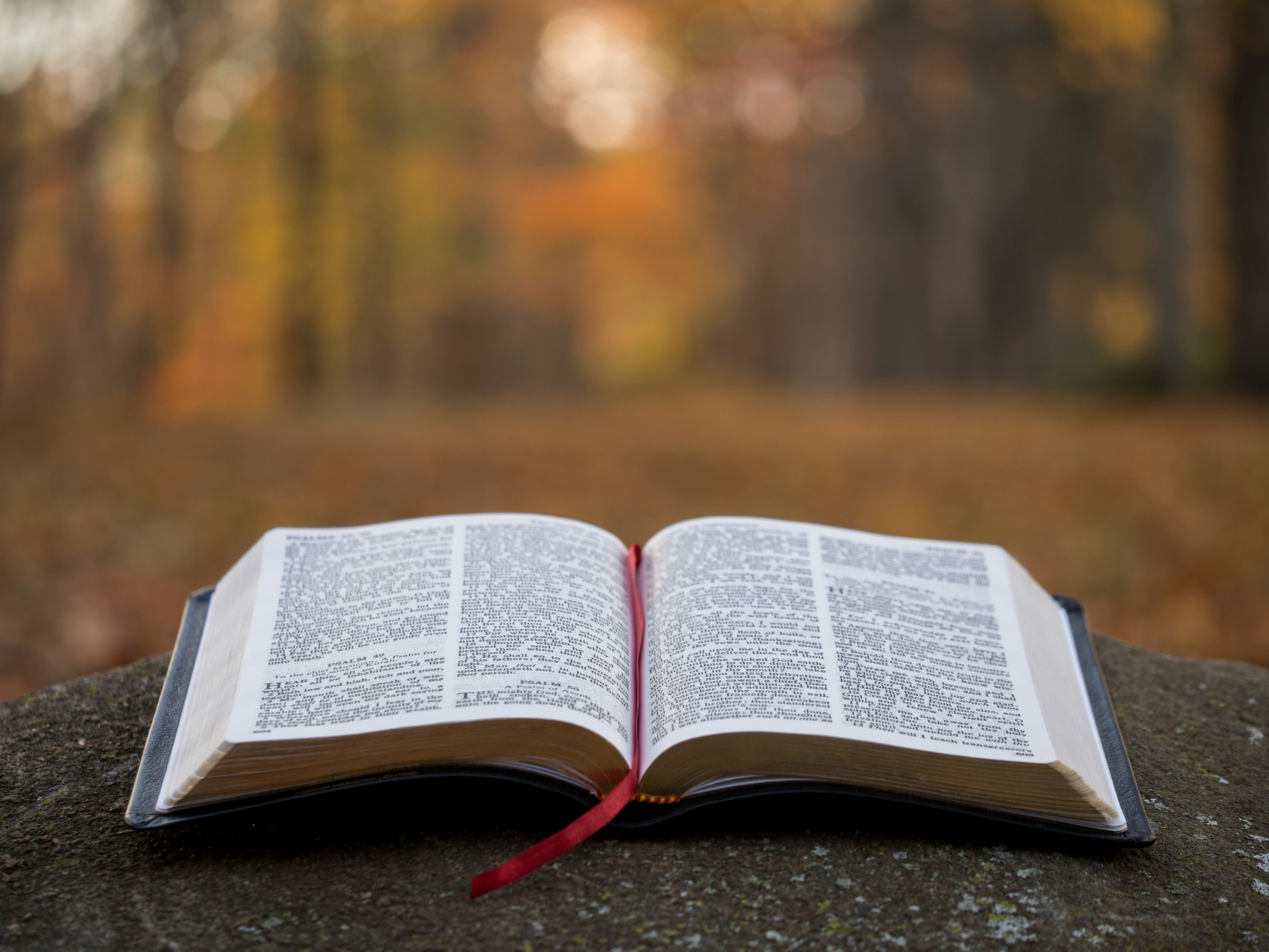 Los humanos antes de Adán y los rollos del Mar Muerto (Orígenes de la Biblia III)