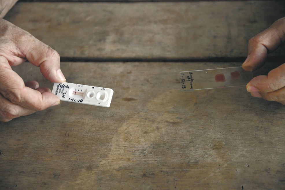 Malaria: ¿una plaga perfecta cocinándose en el Pacífico colombiano?