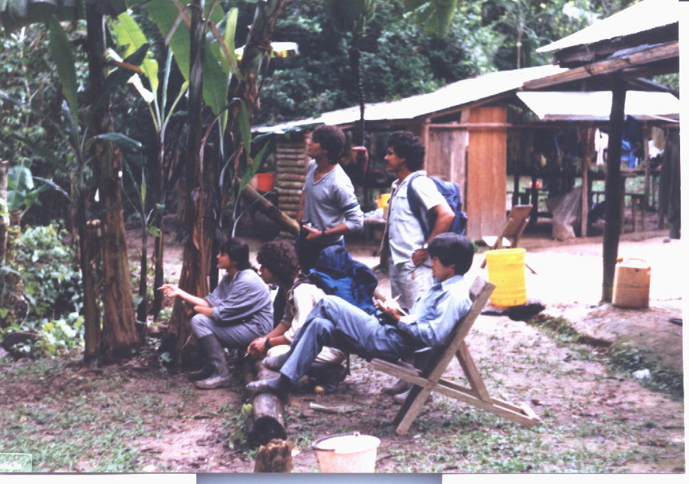 El centro de investigación que buscan revivir en la selva