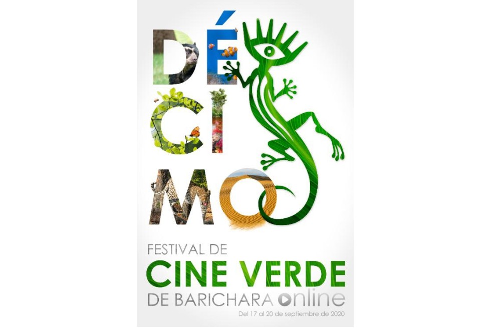 Festiver 2020: esta es la selección oficial de películas