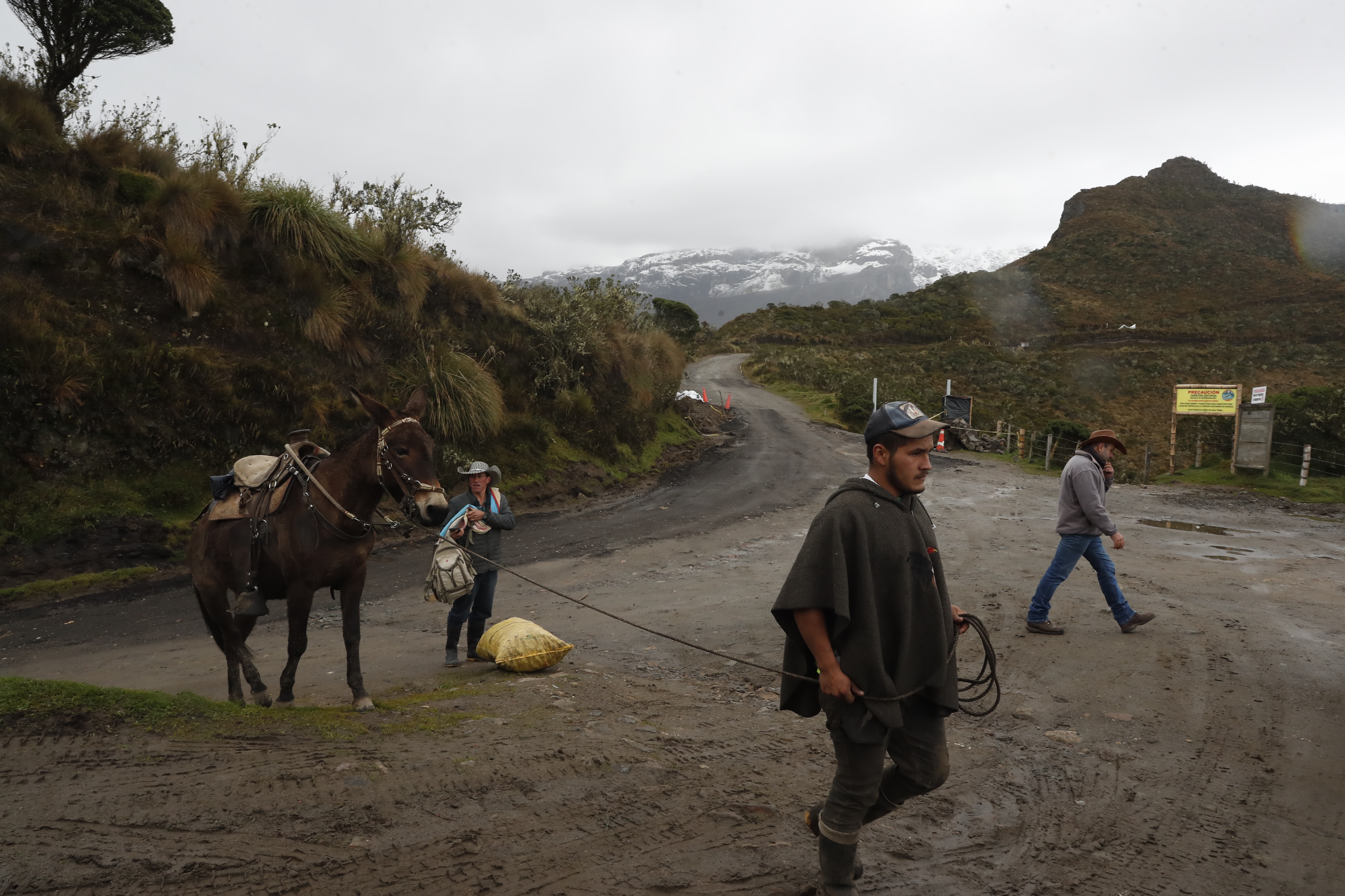 Nevado del Ruiz: el dilema de los campesinos de evacuar o salvar a sus animales