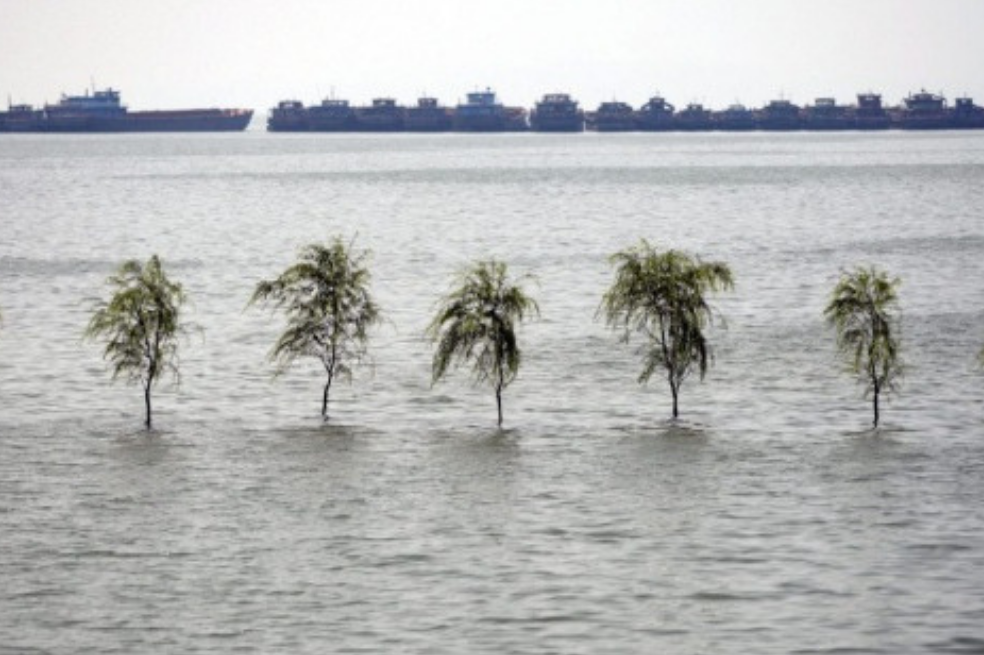 La temperatura del mar en el Pérmico, cuando se extinguieron las especies, es similar a la actual