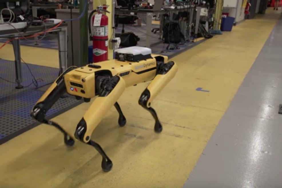 El robot-perro reaparece y vuelve a asombrar al mundo (video)