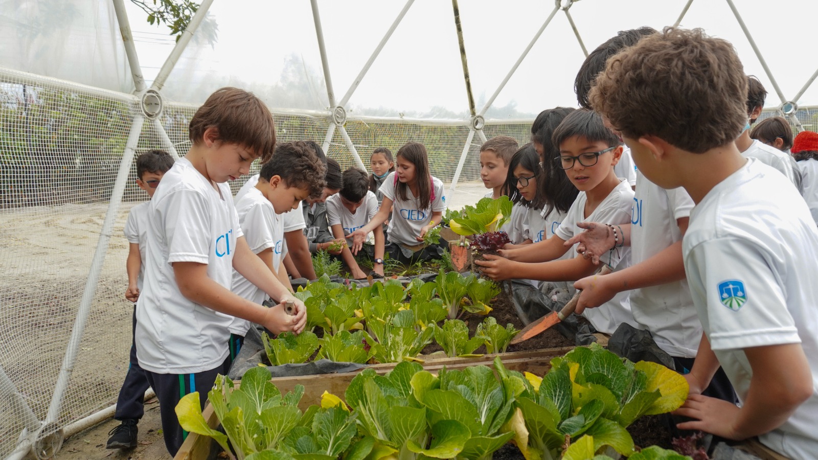 Estudiantes de colegios en Bogotá podrán participar virtualmente de la COP16
