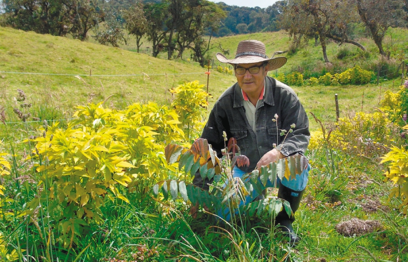 De las 61.420 hectáreas que conforman el Parque, cerca del 10 % se habían transformado en cultivos agrícolas. / Humboldt