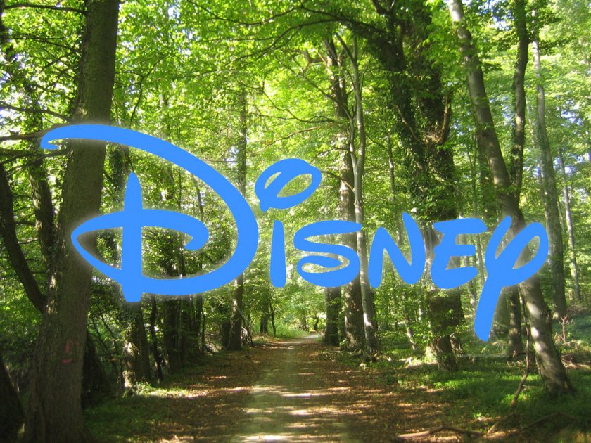 Disney invierte en Perú para evitar deforestación de la selva