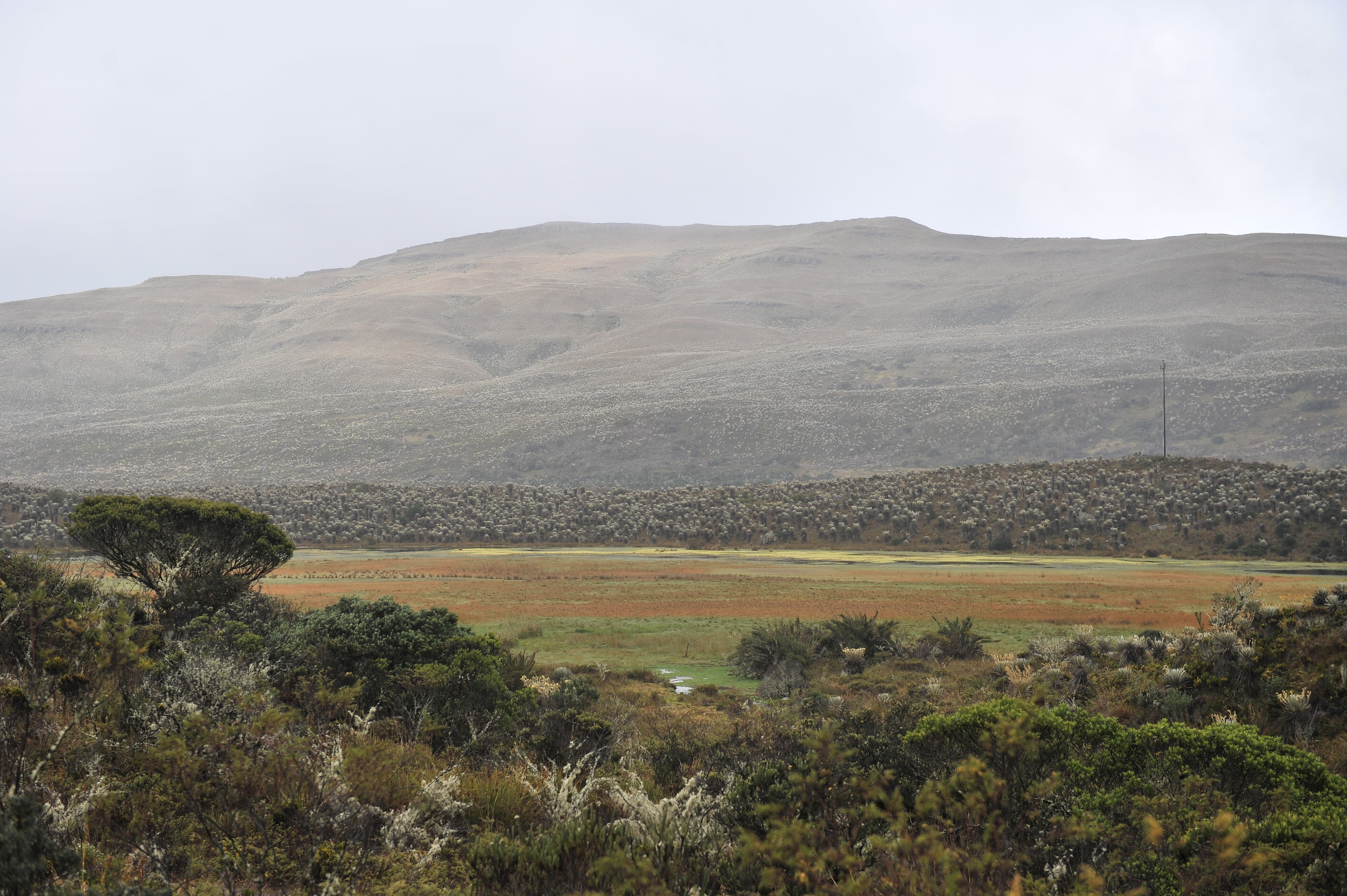 Se logran acuerdos con cinco municipios para la delimitación del Páramo Cruz Verde–Sumapaz