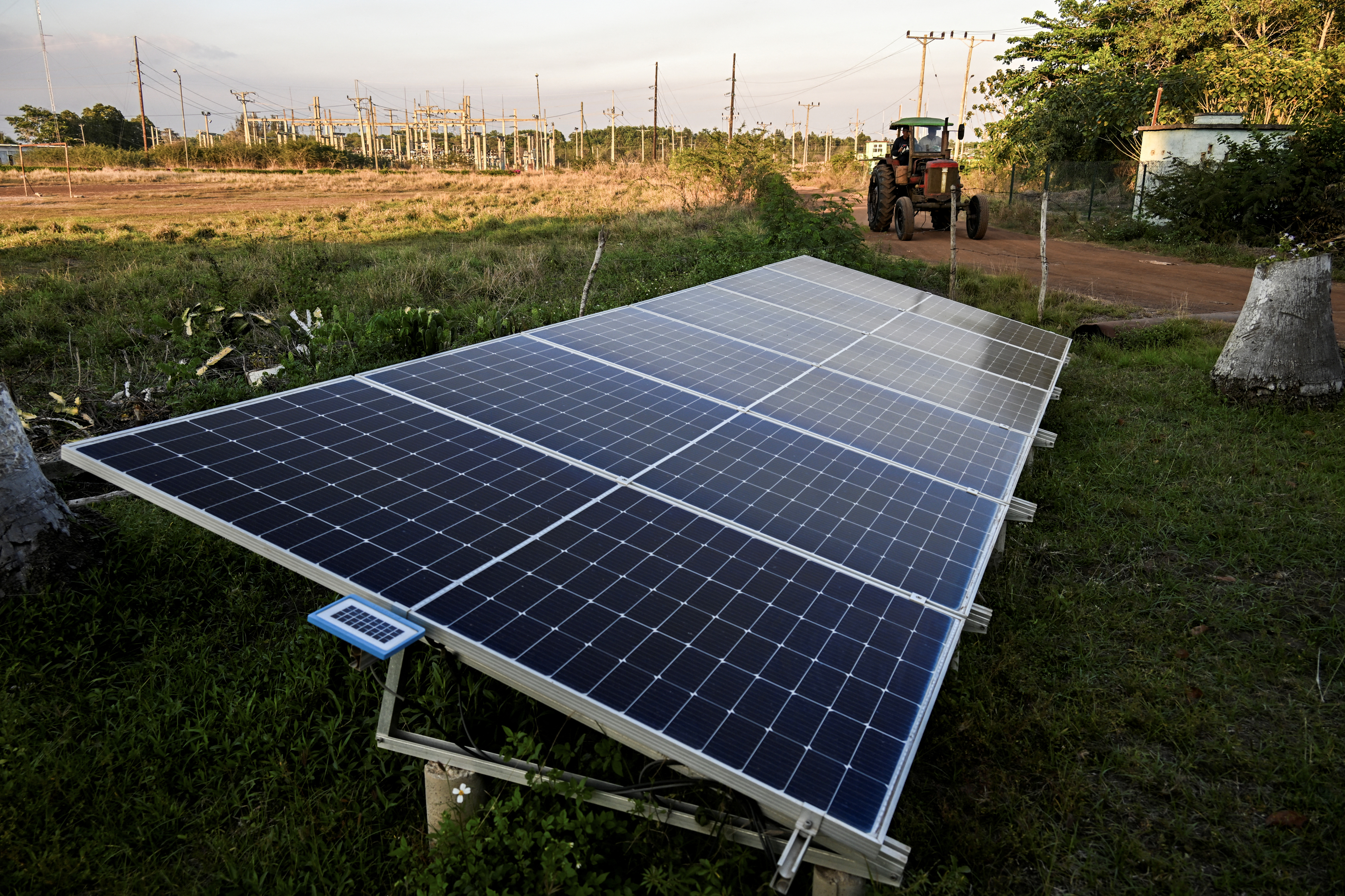 Minigranjas solares: solución para democratizar energía renovable
