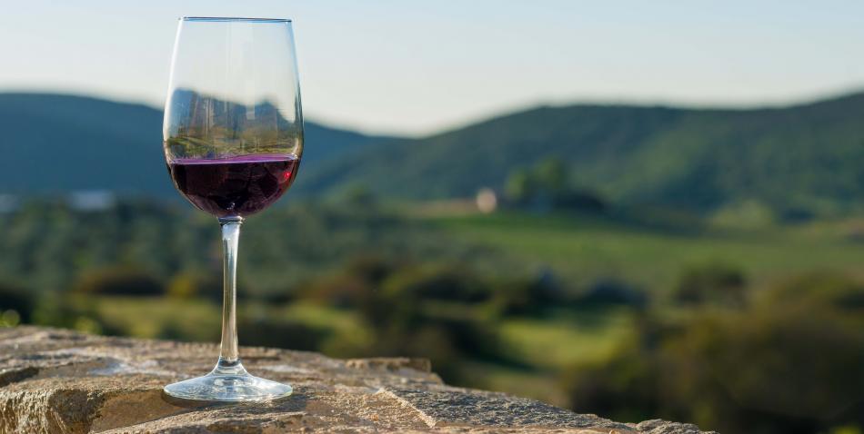 Datos claves para disfrutar de un buen vino