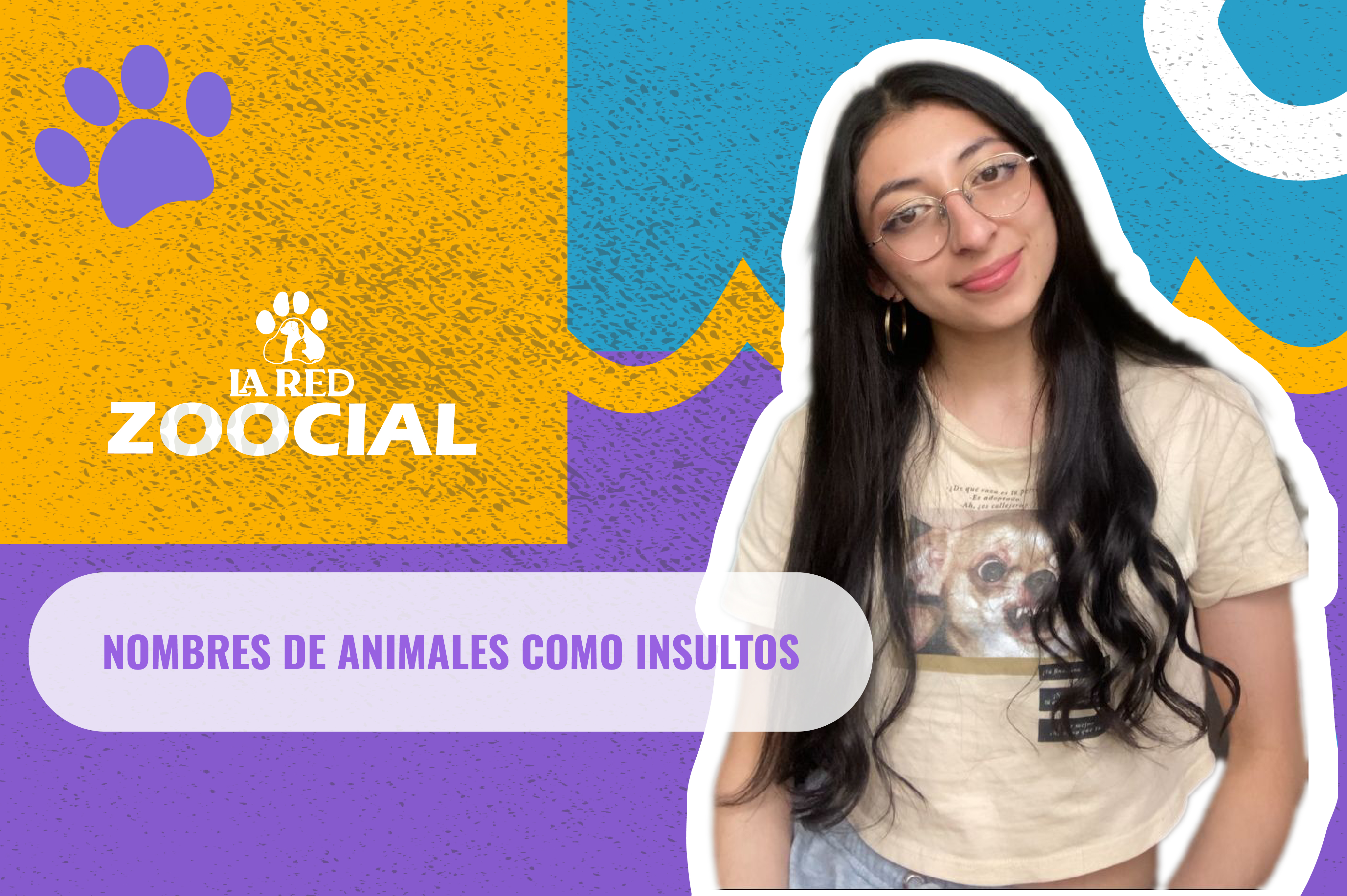 (Video) ¿Por qué no está bien utilizar nombres de animales como insulto?