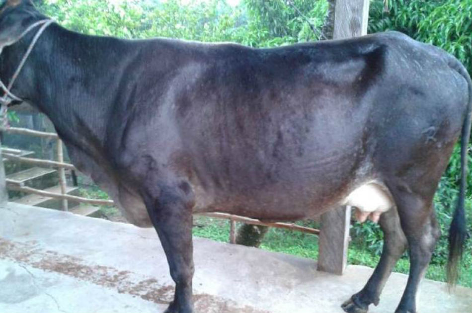Denuncian afectación por derrames de hidrocarburos en el municipio Turbana (Bolívar)