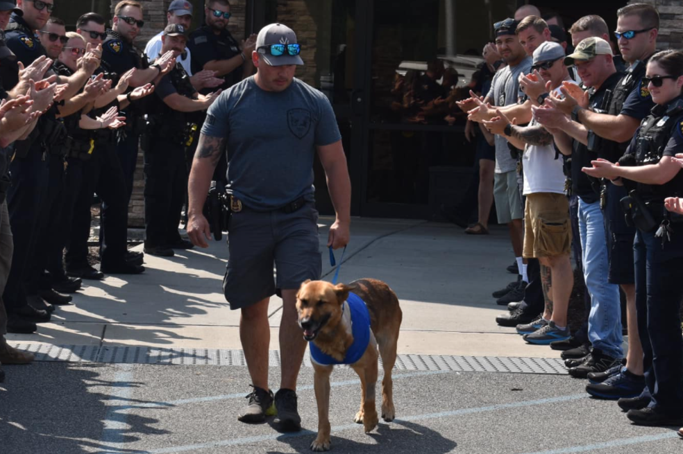 Perro policía sobrevive tras ser apuñalado en Nueva York