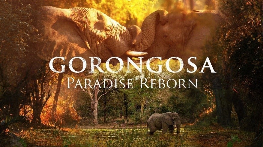 Estrenos Disney+ de abril en conmemoración del Mes de la Tierra