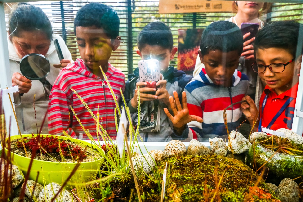 Galería: Así se vive la exposición de plantas carnívoras en el Jardín Botánico de Bogotá