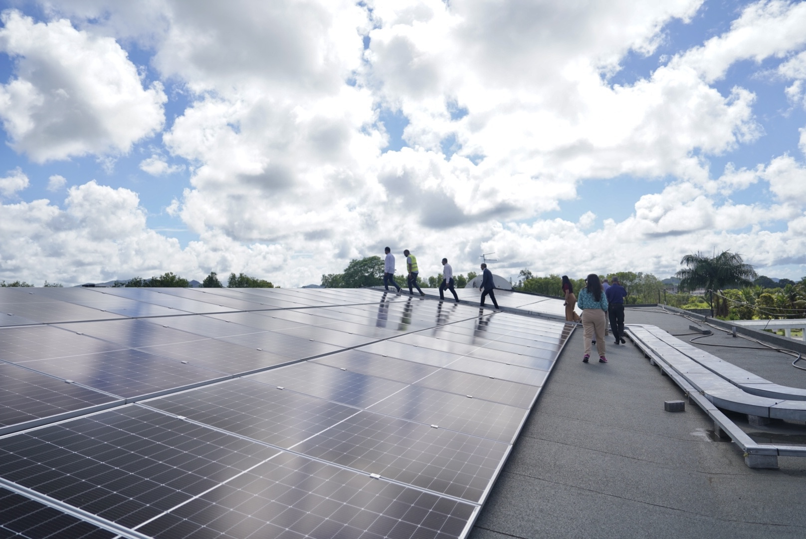 Las energías renovables siguen creciendo en el mundo, pero el ritmo es insuficiente