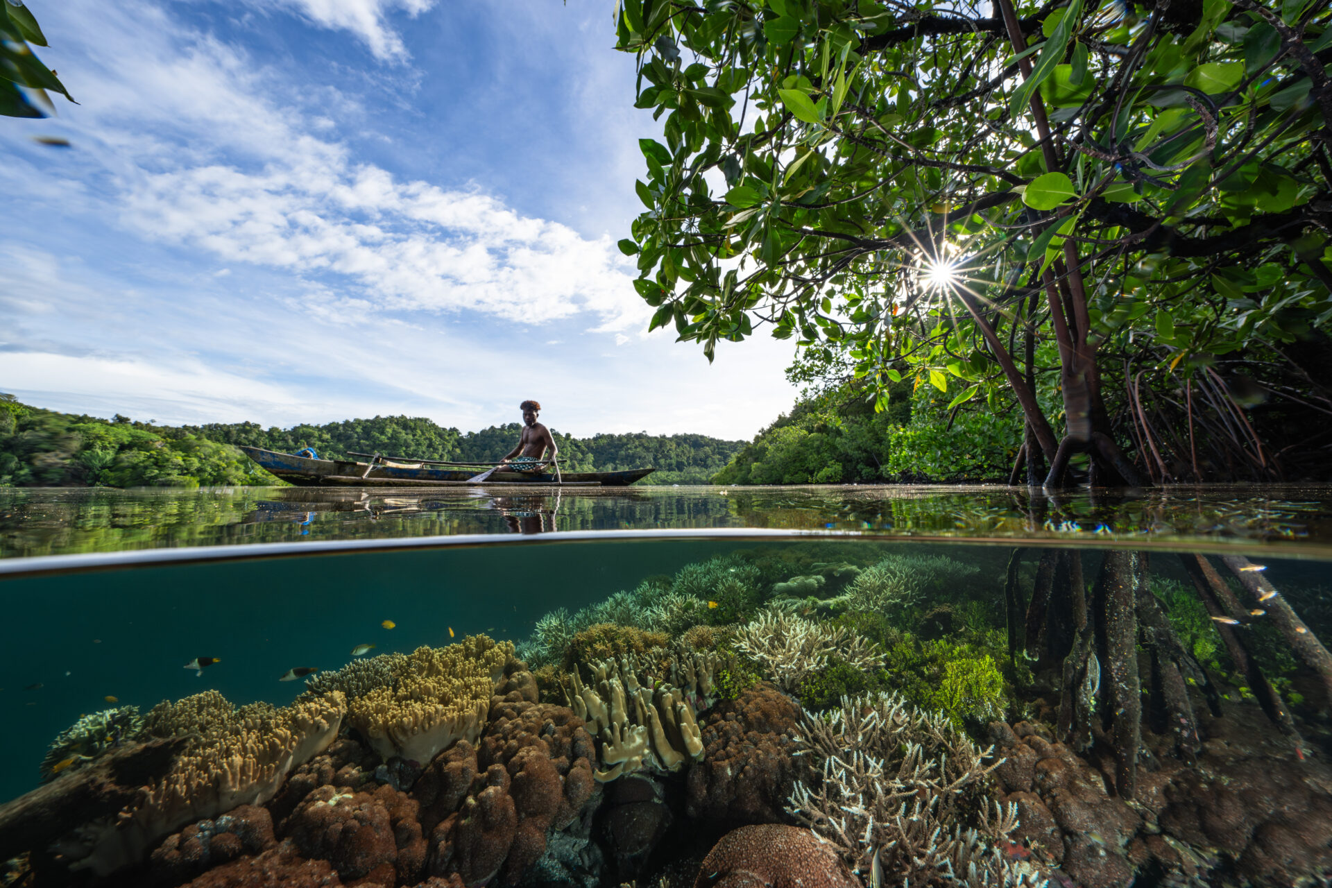 “En 2024/25, el blanqueamiento masivo de corales afectó al 84 % de los arrecifes a nivel mundial”, afirma Mitchell. “Incluso zonas que antes se consideraban refugios climáticos, como Raja Ampat, se vieron afectadas por primera vez. El aumento de la temperatura del agua y los desequilibrios nutricionales llevaron a arrecifes enteros más allá de un punto de inflexión. Sin embargo, algunas zonas demostraron su resiliencia, como el intrincado equilibrio que proporciona este sistema de manglares”.