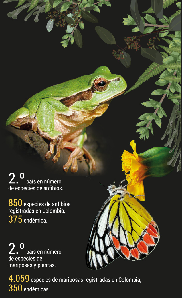 Colombia, destino ecoturístico por naturaleza.