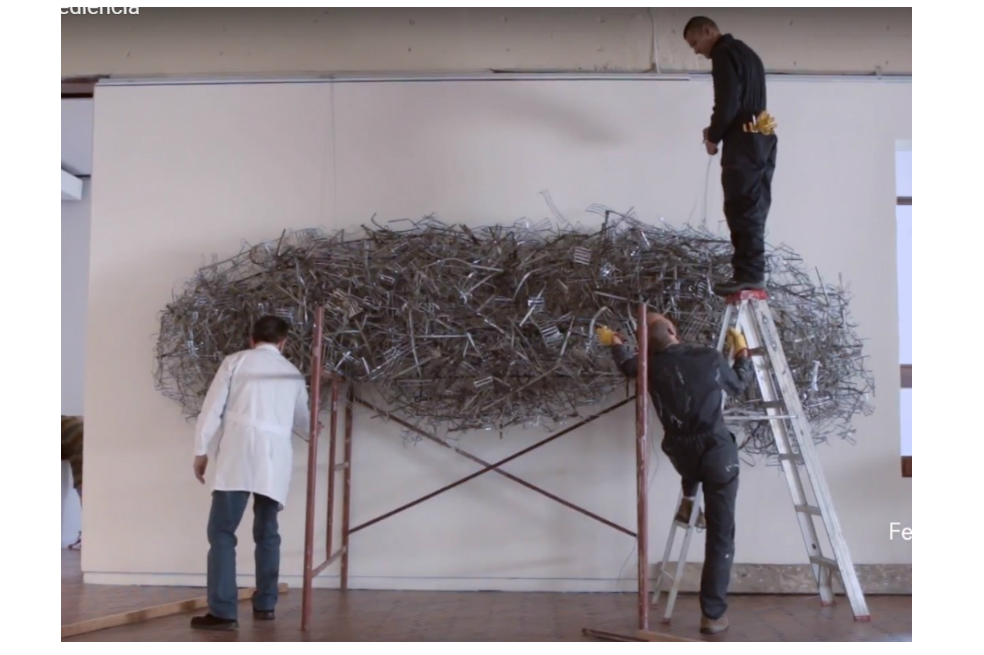 El arte de la desobediencia en el Museo de Arte Moderno de Bogotá