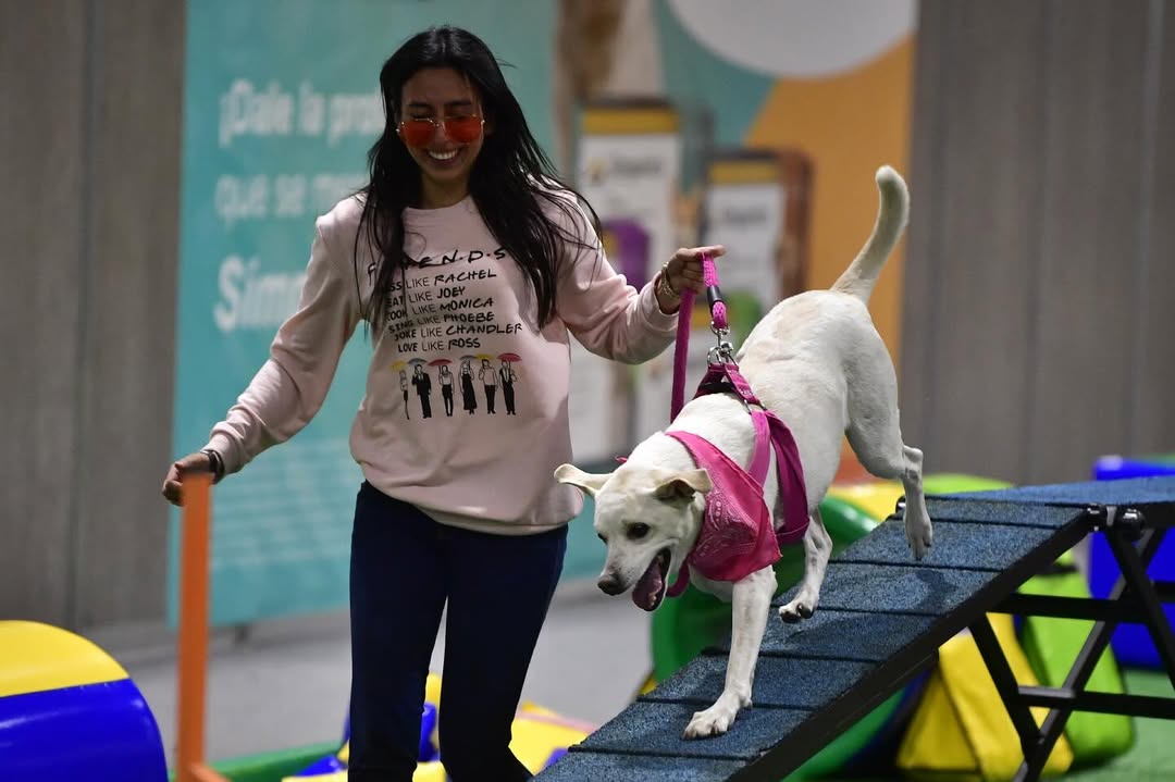 Qué hacer en Expopet este domingo 17 de agosto: charlas, shows y más en Corferias