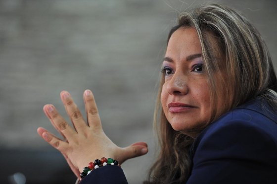 Los detalles de la sanción a la exdirectora de la ANLA, mencionada por Jorge Pizano