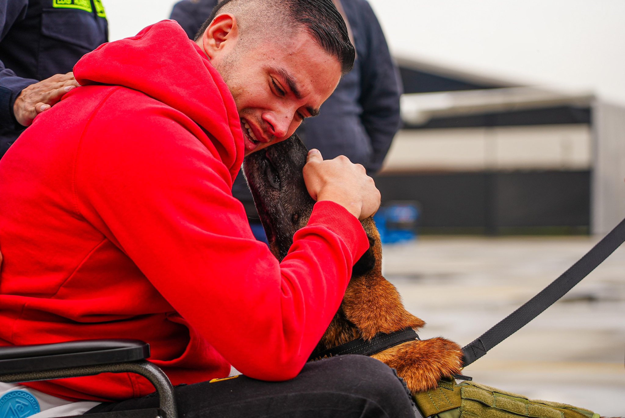 Patrullero y su perro Telmo se reencuentran tras sobrevivir a ataque en Amalfi