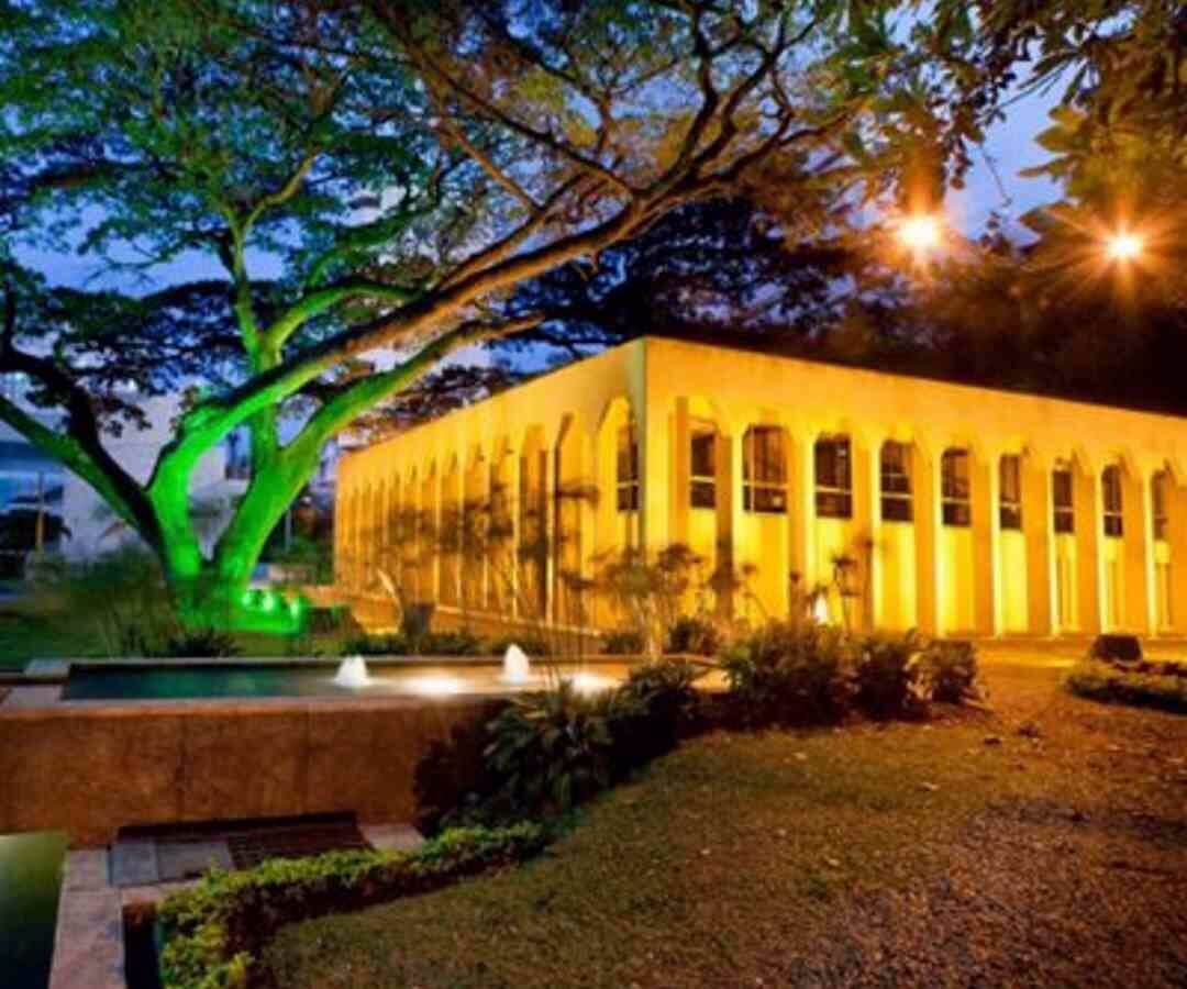 Carta abierta: Los Museos celebran su día mundial ante un umbral de incertidumbres