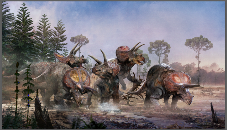 Los Triceratops,  populares por Jurassic Park, sí vivían en manadas