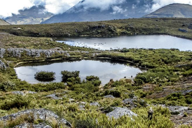 Ampliar áreas protegidas no es suficiente para proteger la biodiversidad: expertos