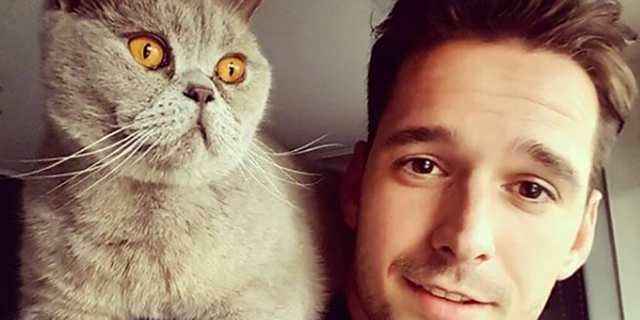 ¿Te dejarías robar el corazón por alguno de estos gaticos?