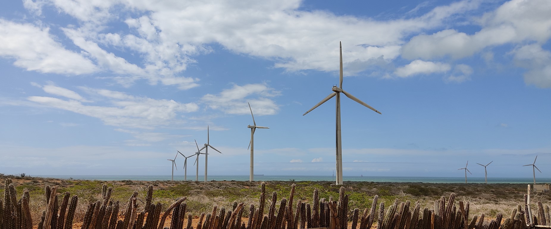 EPM: pionero de la generación de energía con la fuerza del viento