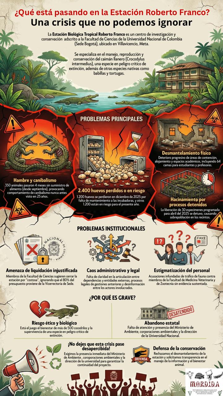 Imagen de la infografía que ha circulado en redes sociales.