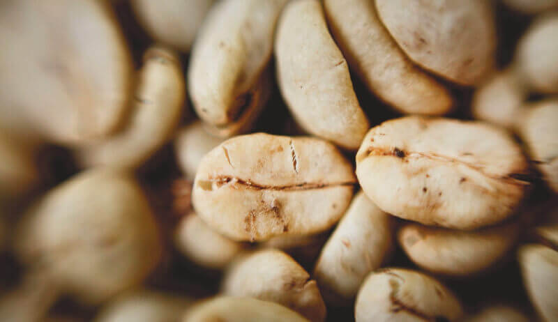 Lluvias irregulares estropean cosecha récord de café en Brasil