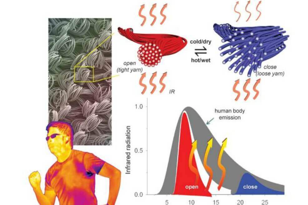 las fibras del textil presentado por los investigadores tienen la capacidad de colapsar o expandirse dependiendo de la temperatura.  / Imagen tomada del artículo publicado en Science. 