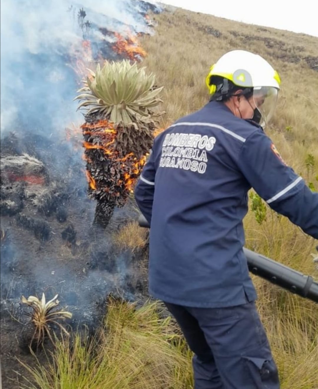 Los bomberos tardaron dos días en lograr apagar los incendios del complejo de páramo en Boyacá.