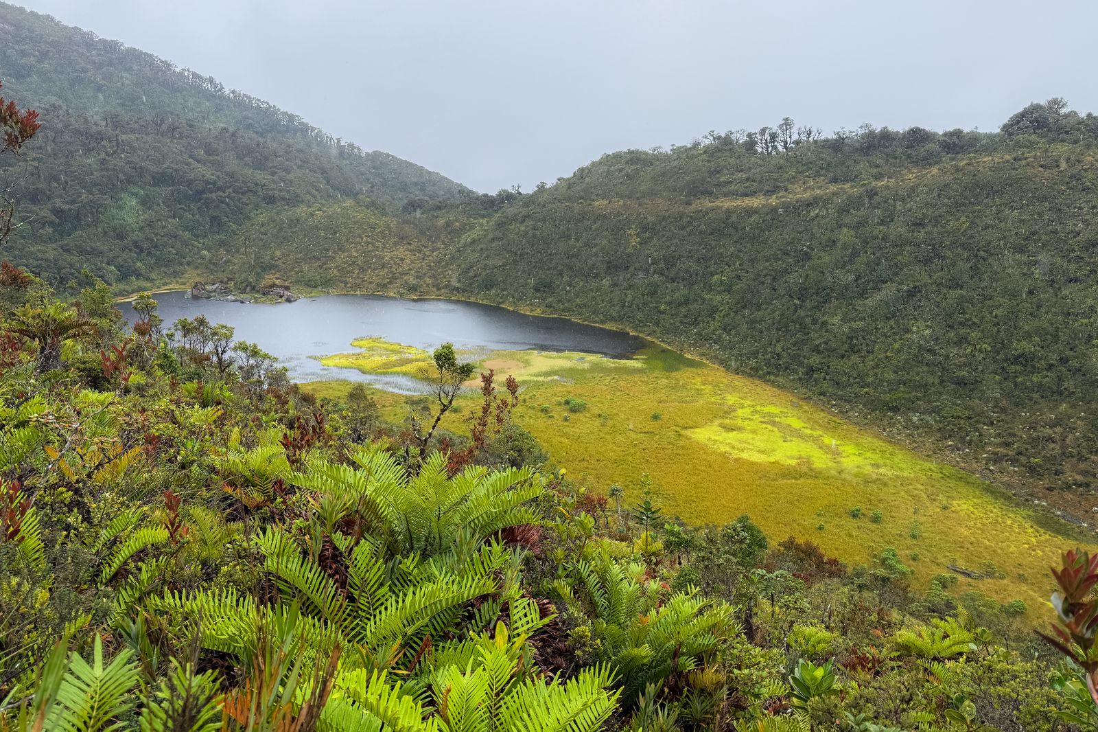 Anuncian millonaria inversión para parque ecoturístico en la laguna de La Petaca