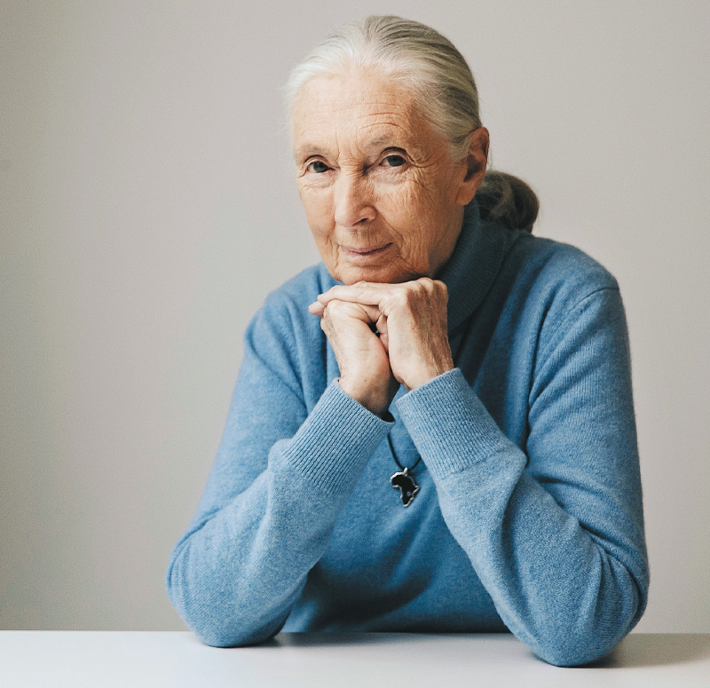 Los jóvenes son los únicos capaces de cambiar el mundo: Jane Goodall