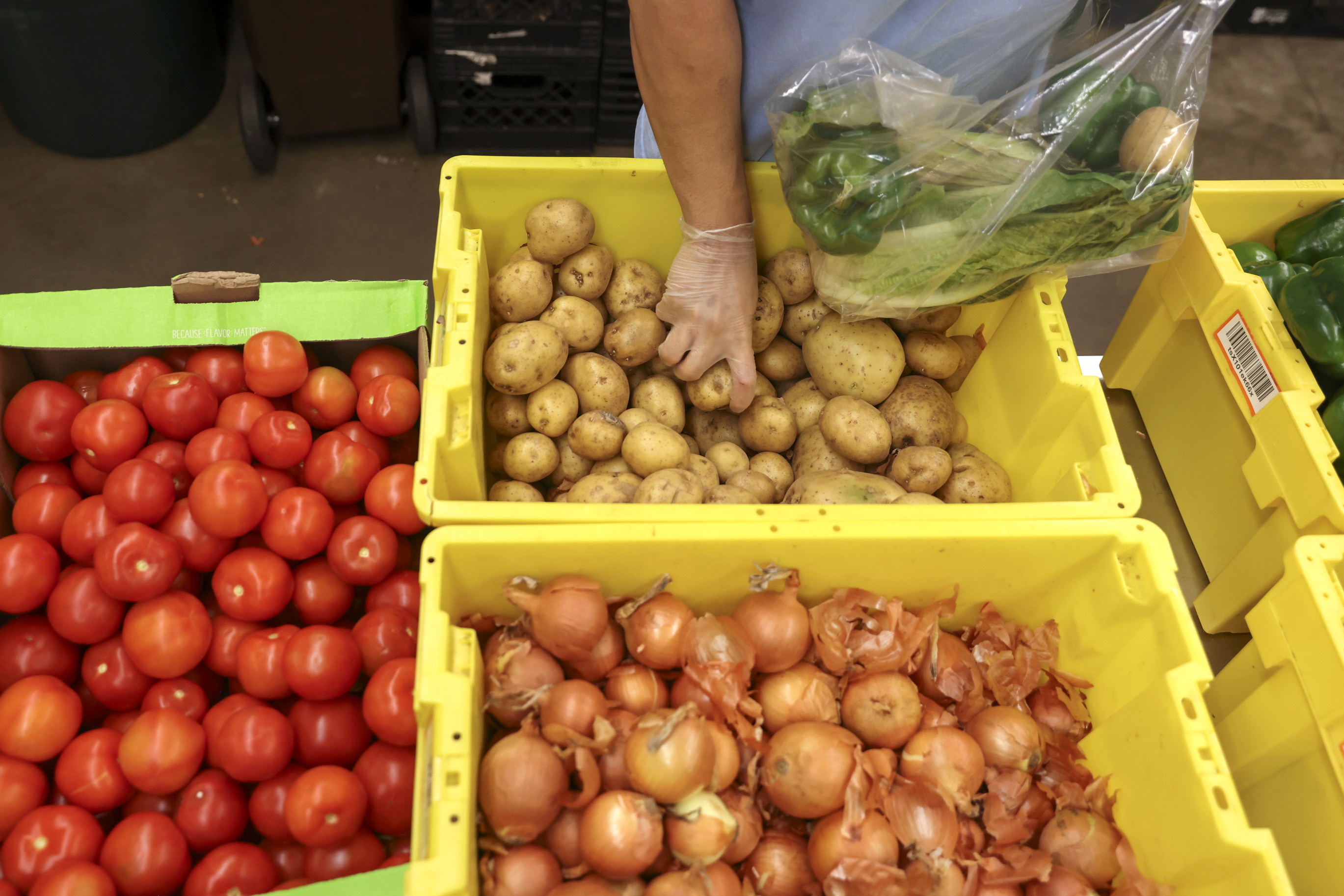 El agro pasó al frente: así reactivó la economía en el primer trimestre de 2025